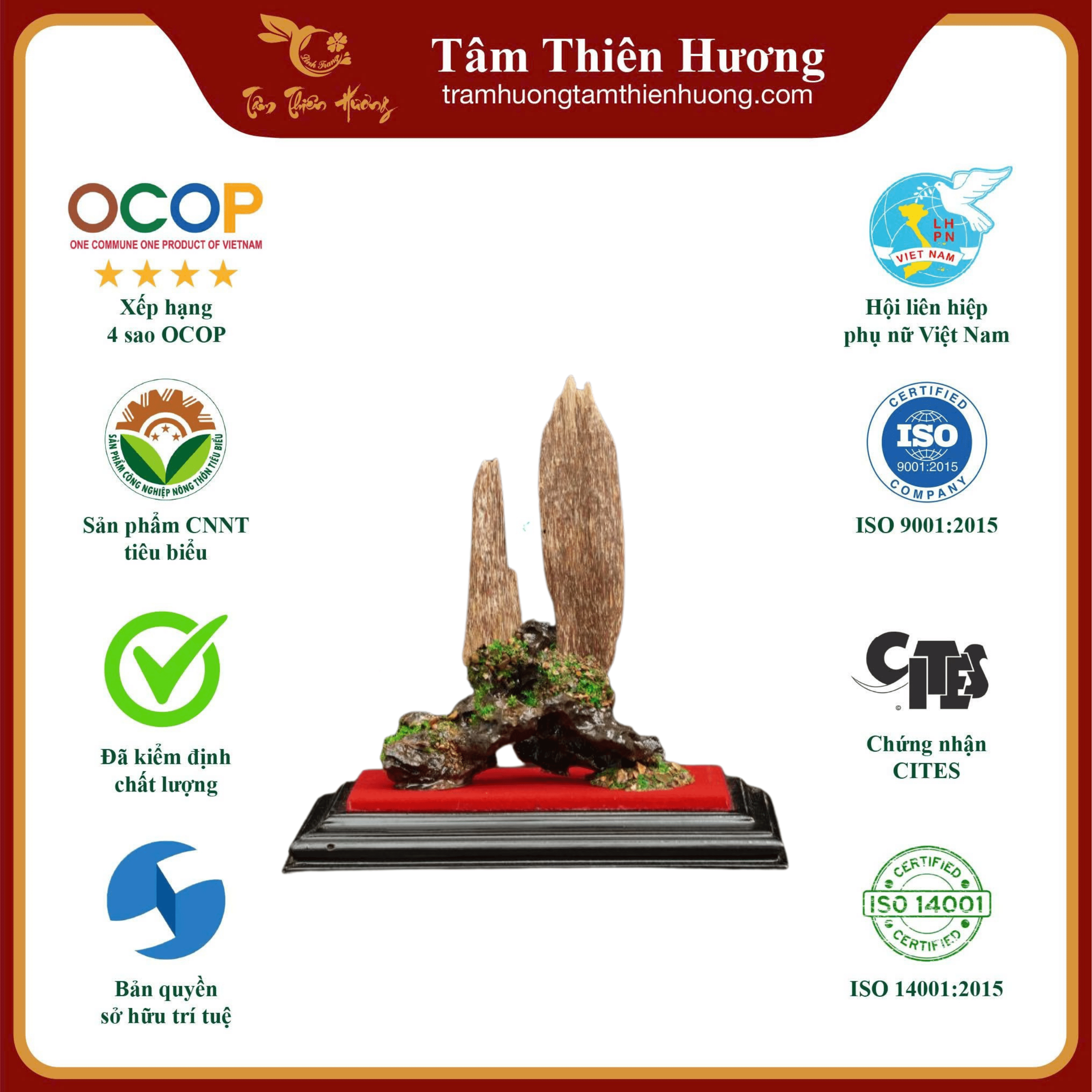 11 tram kien tu nhien