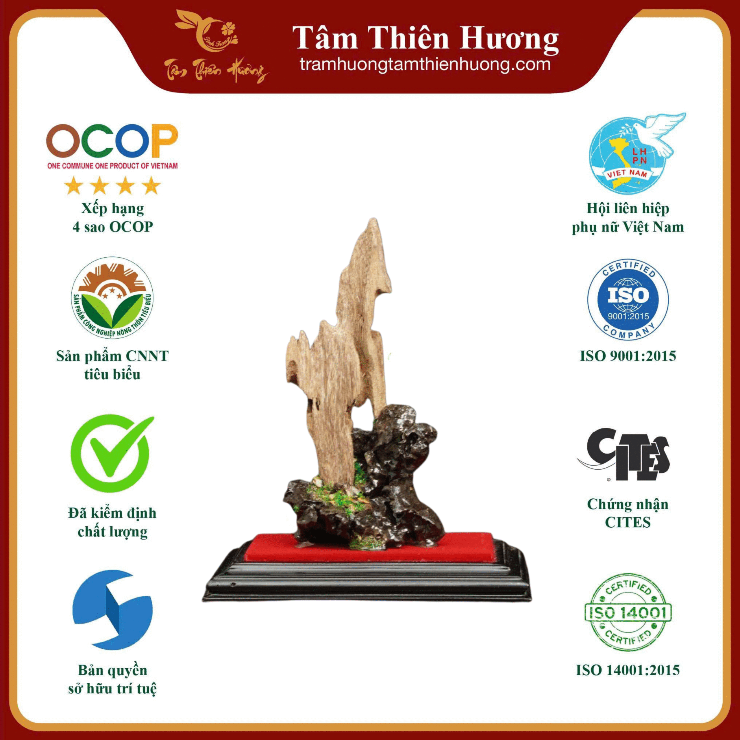 12 tram kien tu nhien